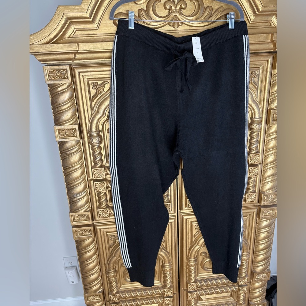 Saturdayy/Sunday Anthropologie joggers
